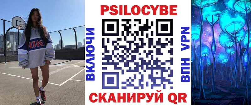магазин продажи   Нюрба  Галлюциногенные грибы Cubensis 